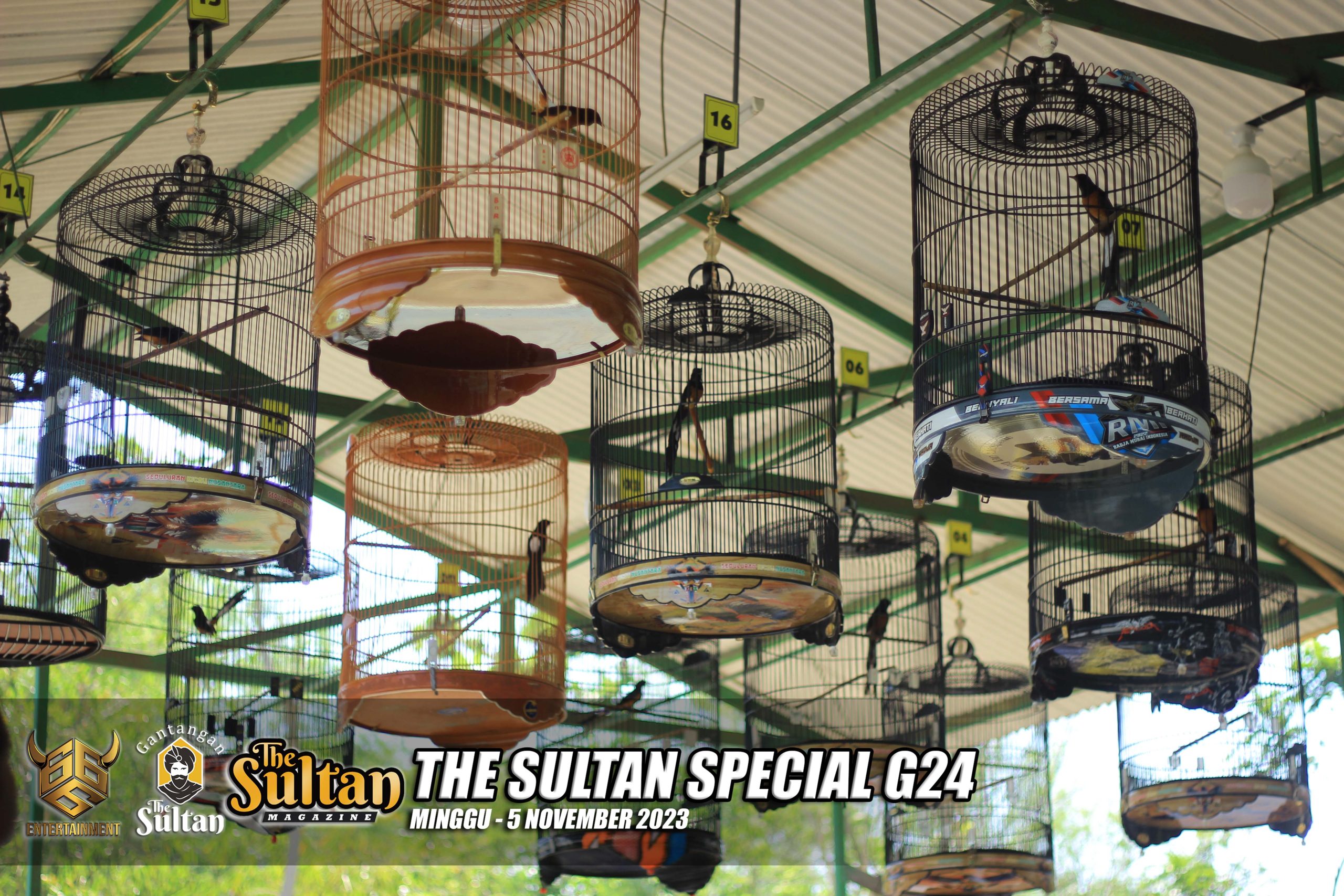 THE SULTAN 3
